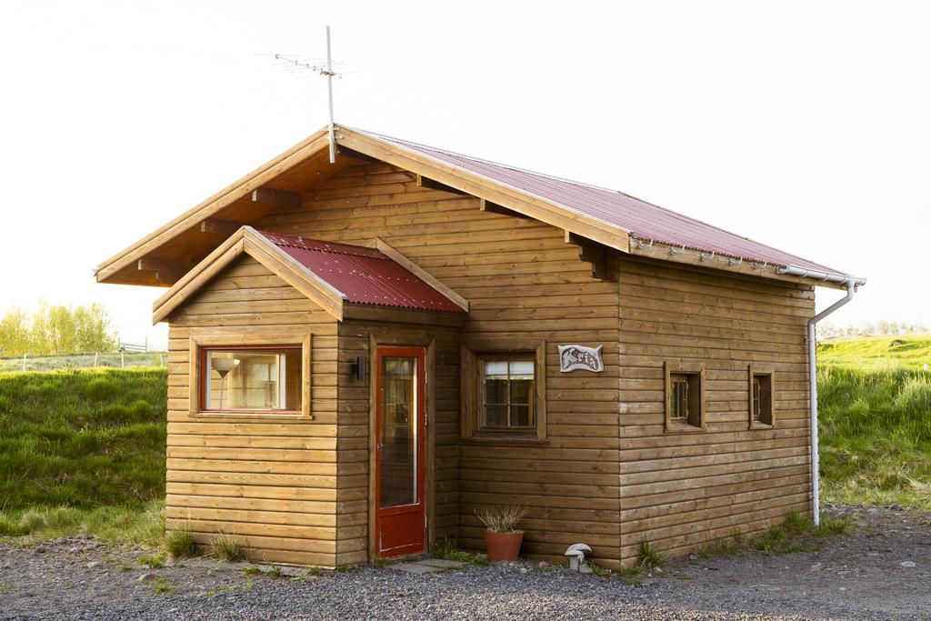 הוסטל Haukadalur Geysir Hestar מראה חיצוני תמונה